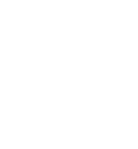 Nippon Connection